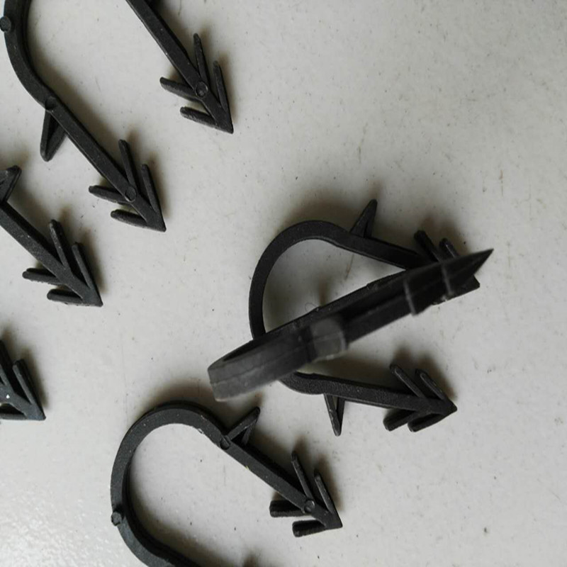 814691211642229001_副本