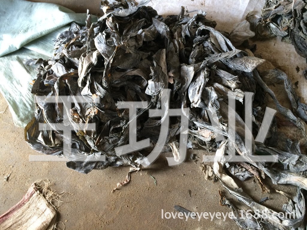 供应海参菜 鲍鱼食菜 盐渍海带原料 盐渍海带边 海带尾 小菜