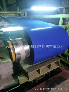 ���{��䓾� �{ɫ ��X�\�ʾ� ��\䓎� �S�Ҹ� 0.2--1.0mm