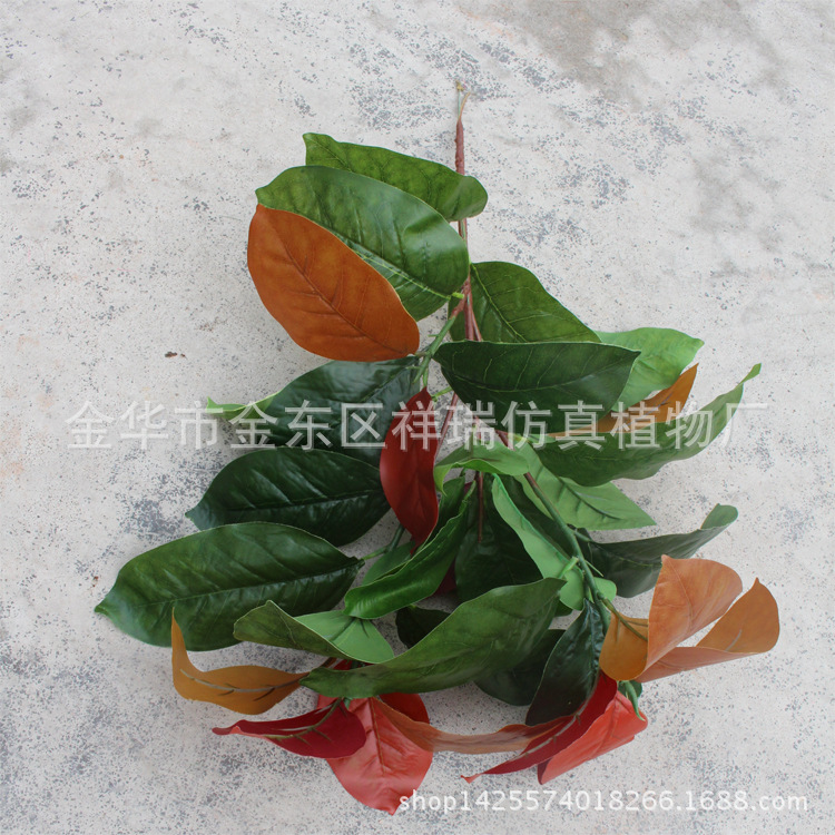 XRB-102秋高榕叶五叉支40叶60厘米1