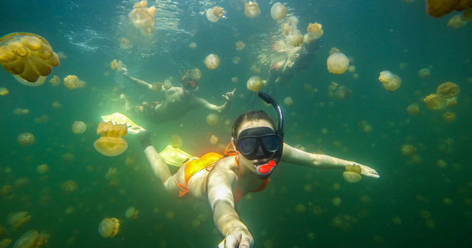 Perche selfie en Alliage d aluminium - Ref 3386305 Image 14