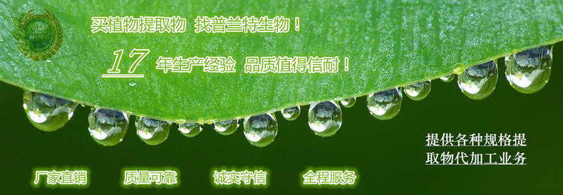 QQ截图20141216115547_副本_副本