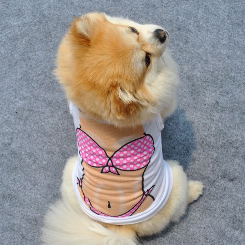 공장 직접 판매 애완 동물 의류 여름 시원한 폴리 에스터 조끼 통기성 슈퍼 멋진 조끼 애완견