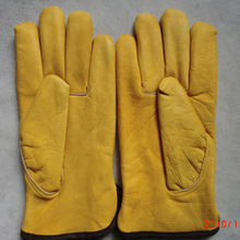 AB级牛头层皮司机手套/劳动防护/保暖手套 可来样定制提供OEM服务