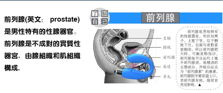 SIFRS 探行者前列腺按摩器25