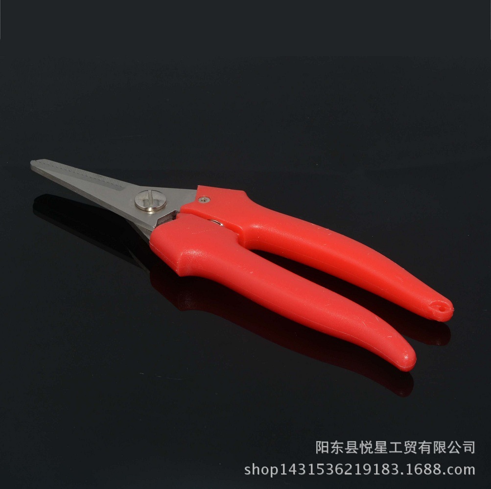 园林剪刀 树枝剪 不锈钢园艺剪刀 花园剪 园林工具