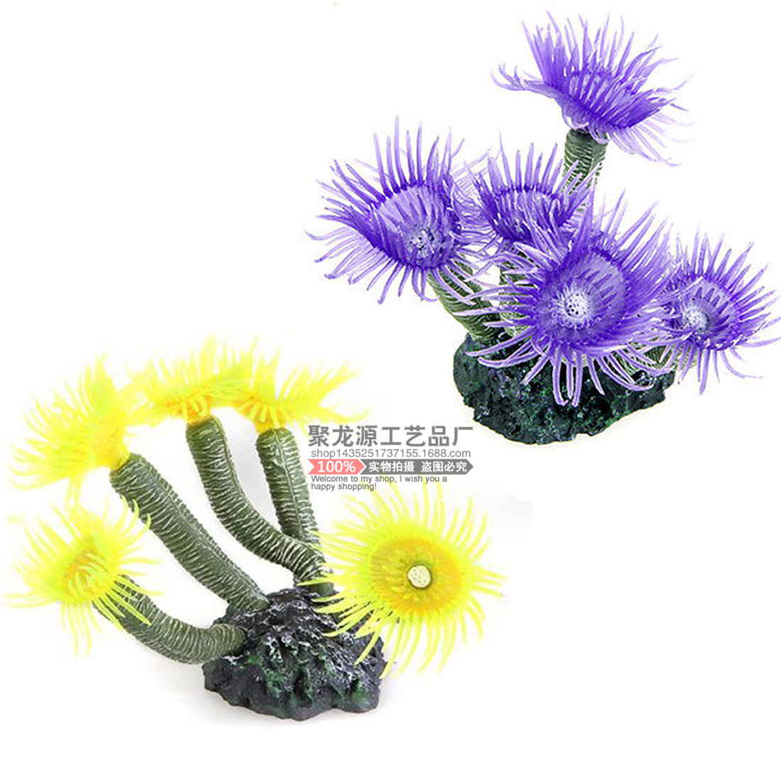 HTB14M_yIVXXXXa6XFXXq6xXFXXXb