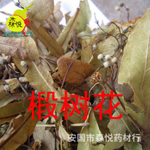 椴树花 批发冷背中药材 无硫绿色加工 新货 专药用 正品 保