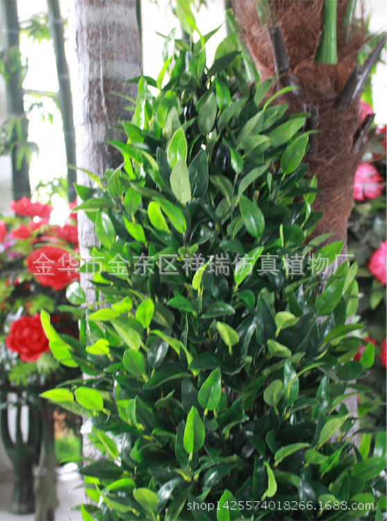 塔形7杆橄榄叶2米4410叶子近照