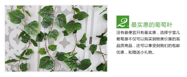 750葡萄葉_44