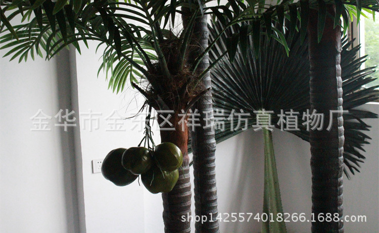 XRS-088组合棒棒椰子叶树60叶350厘米果杆