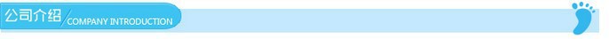 公司介绍