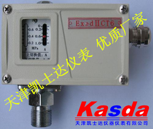 压力开关EYD05LW，防爆压力控制器EYD05-LW厂家