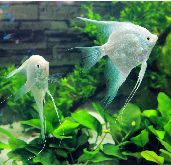 QQ图片20150613112903