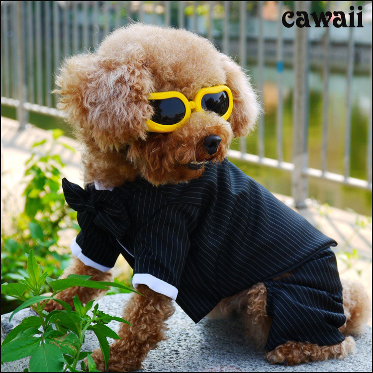 Suit 2