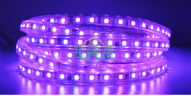 LED02OTHR0076213效6