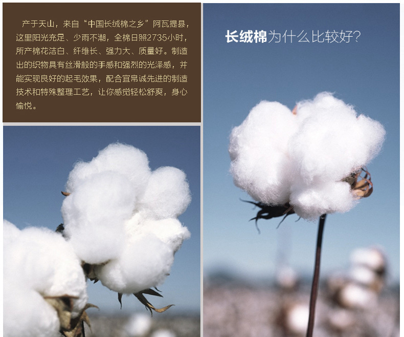 Peignoir jeunesse CX130519 - Ref 595883 Image 28