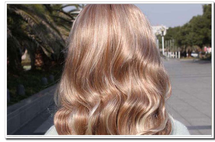 Perruque Les cheveux longs - Ref 2610815 Image 8