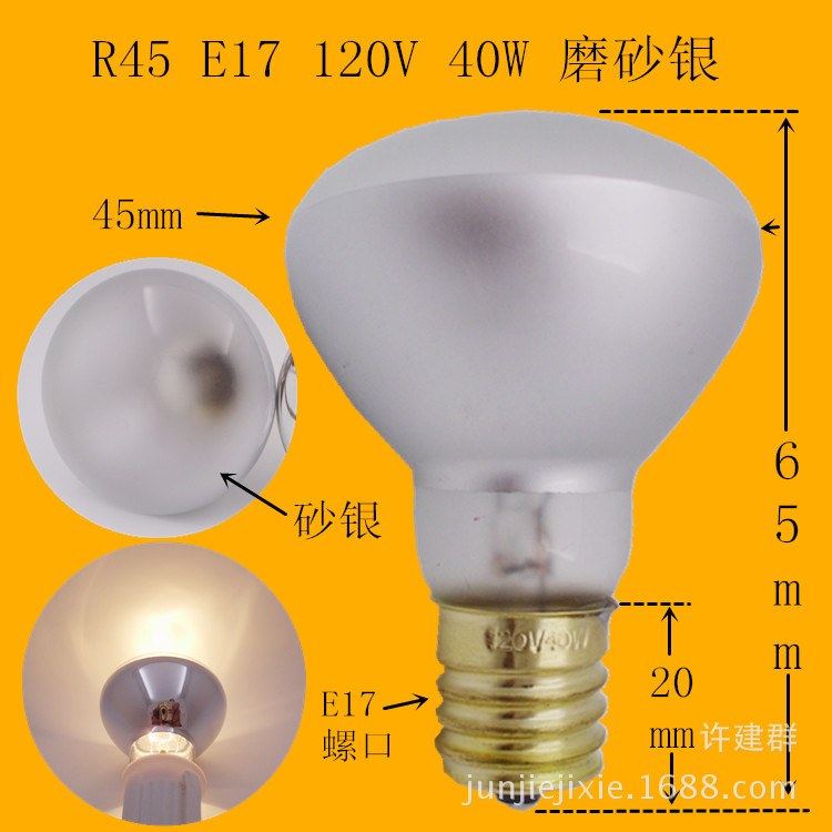R45 E17 120V 40W 磨砂銀