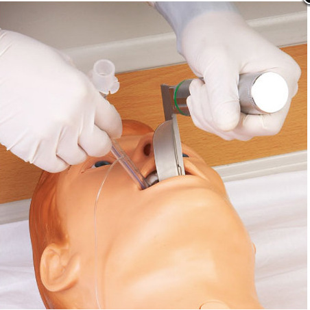 �߼�ȫ���ܻ���ѵ��ģ�������Ի�������ȫ�������ϻ���ѵ��ģ����