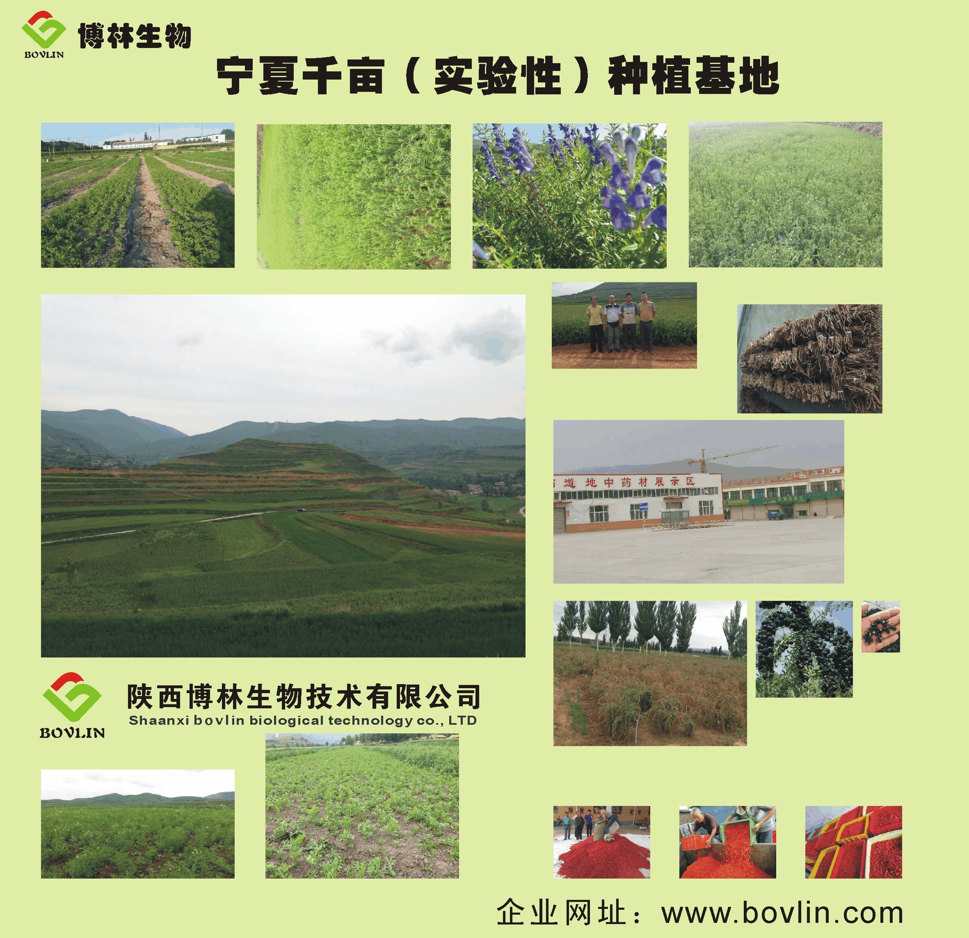 种植基地（修改后）