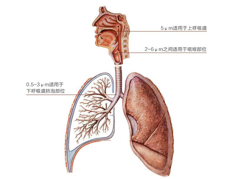 2484335562_2122311670