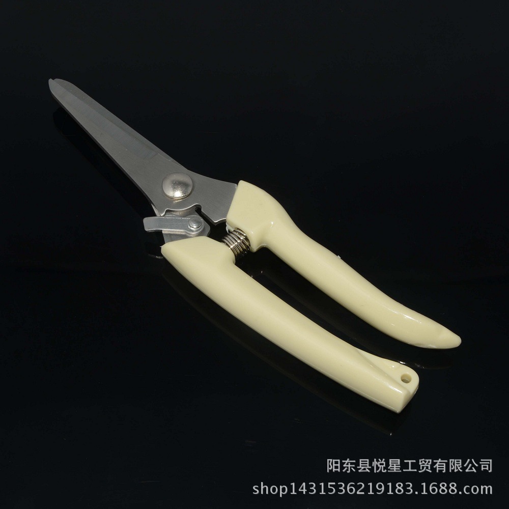 园林剪刀 树枝剪 花枝剪 不锈钢园艺剪刀 园林工具