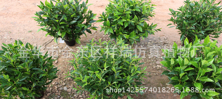 XRS-127-128-129-130-131-133(4