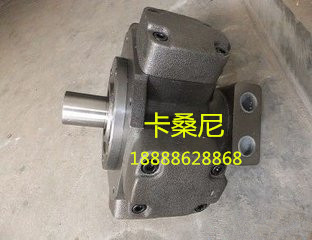 专业生产YHM2-175外五星液压马达