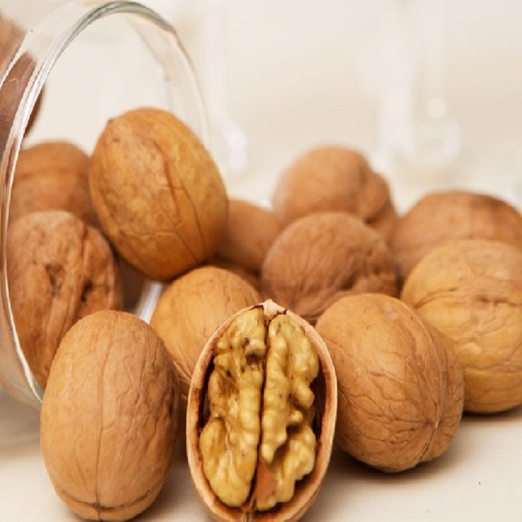 食品级2331山核桃香精用于炒货花生瓜子乳制品浓郁山核桃风味