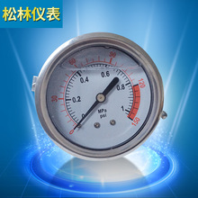 专业生产 纯水机专用耐震充油压力表1MPA 液压双针耐震压力表