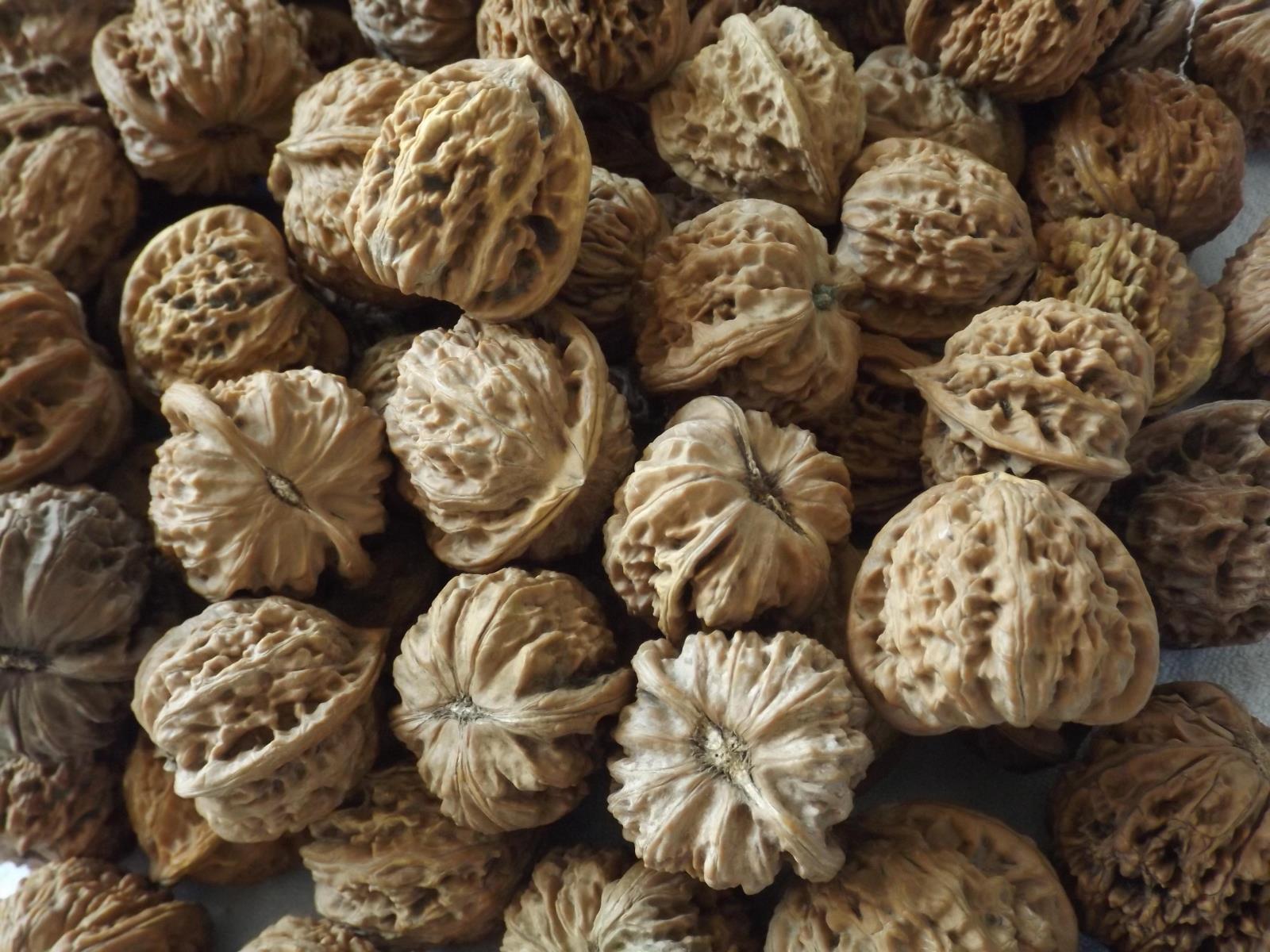 核桃花皮,文玩核桃花皮_大山谷图库