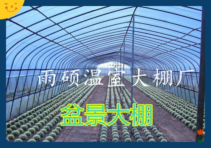 QQ圖片20150718235425_副本