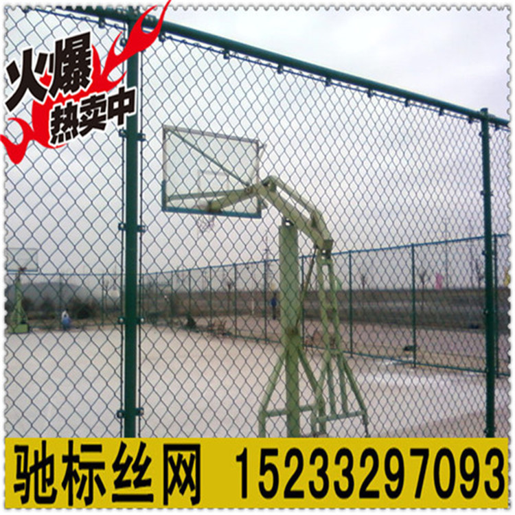 Hebei factory Basketball Court Fence Sports field Seine Hook fence Produce install one