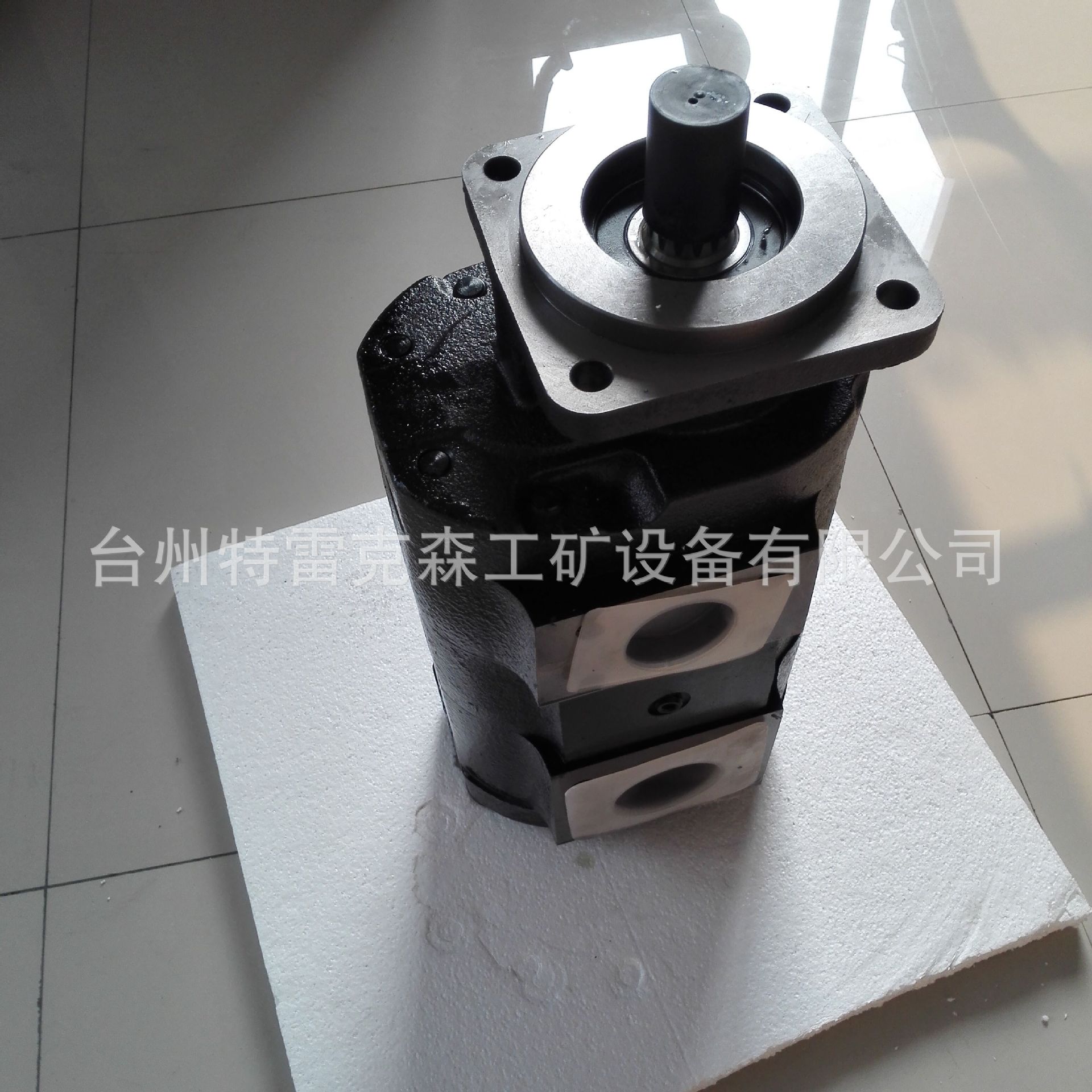 供应特雷克斯原厂配件  TEREX PARTS TR60举升泵15020938