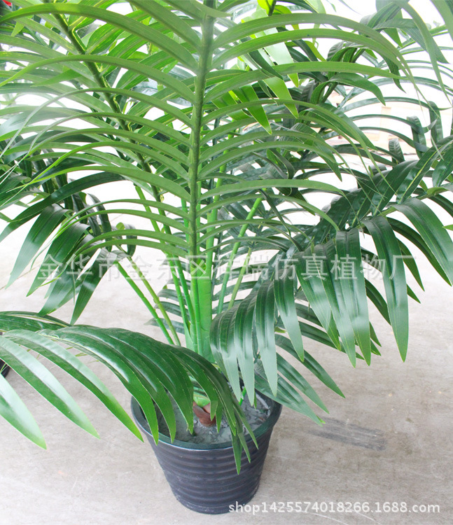 XRS-073单杆散尾葵叶橡塑布180厘米15叶枝杆1