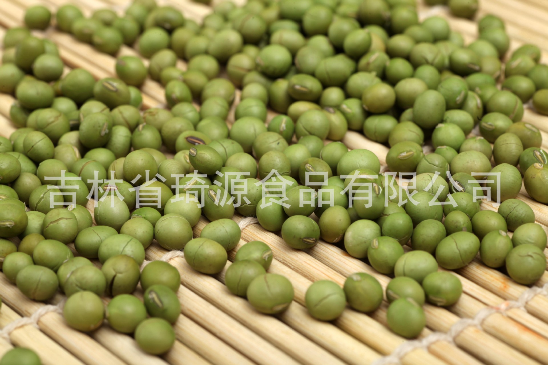 Low Temperature Baked Green Soybeans Bulk Dried Soybeans for Fresh Soy Milk specifications