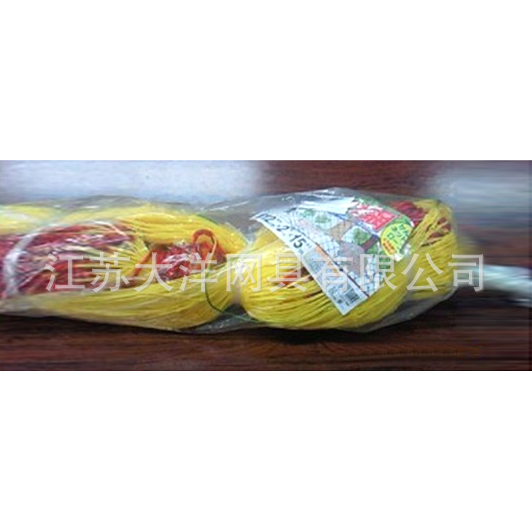 聚乙烯渔网 农业用网 体育用网厂家生产 大洋牌i网具