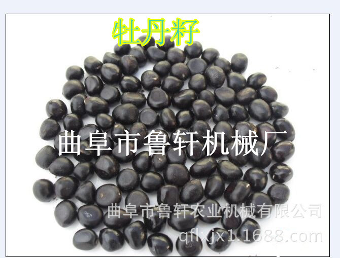 2353037878_140850002_副本