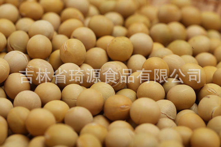 Roasted Soybeans Northeast China Specialty Ready to Eat Soybean Snack Bulk Wholesale quality and texture