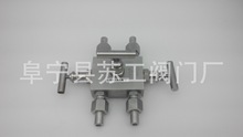 仪表三阀组 WSF523P 流量计平衡阀 SFS-63P 3RSS-FNS8-V YZF5-2-1