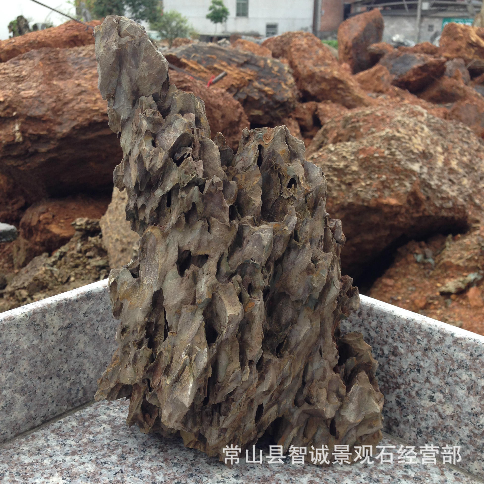 稀缺ADA造景专用精品松皮石，龙骨石，出口级松皮-阿里巴巴