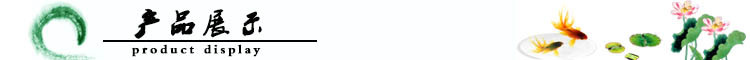 产品展示