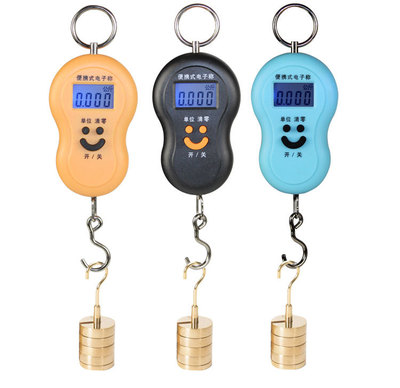 精准称重电子称手提秤便携式迷你高精度快递称手提弹簧秤40kg