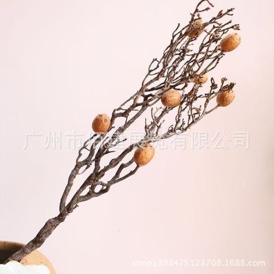 Manufactor Direct selling Tree flowers natural Ancient trees Bodhi club a decoration Soft decorations Botany Mikie Patterns room