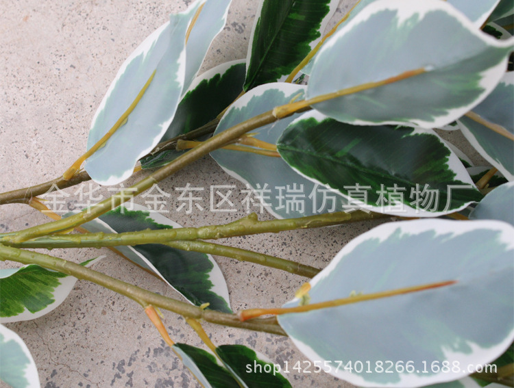 XRB-133白边香樟叶五叉枝90叶7CM4