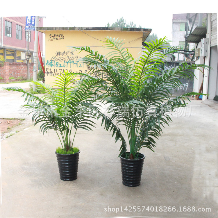 散尾葵叶橡塑布二款