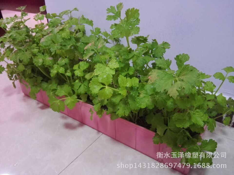 QQ圖片20151114141551