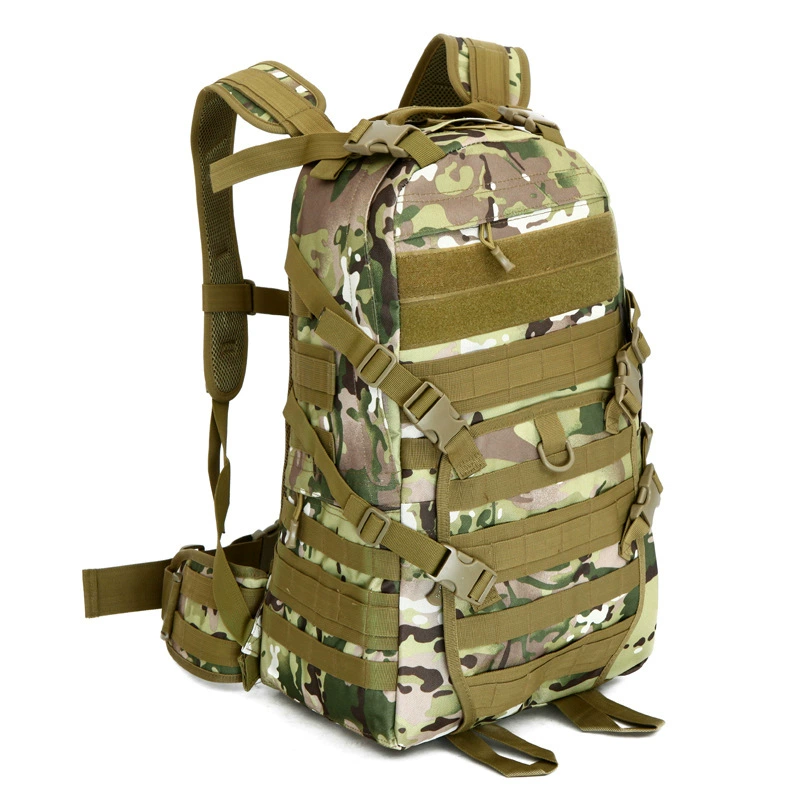 Backpack, travel bag
