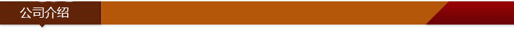 公司介绍